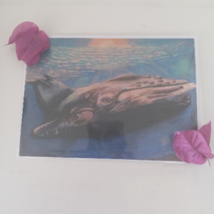 Sue - Prayer For The Whales 5"x7" Card