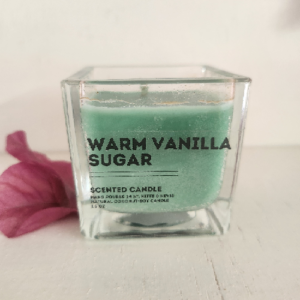 Warm Vanilla Sugar 1.5oz Candle