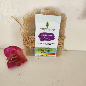 Sargassum Soap