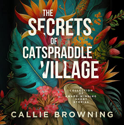 Catspraddle Village Box Uprgade A