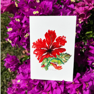 Sally Norman Greeting Cards